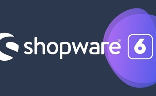 Top-Rated Partner for Shopware 6 Customization and Support